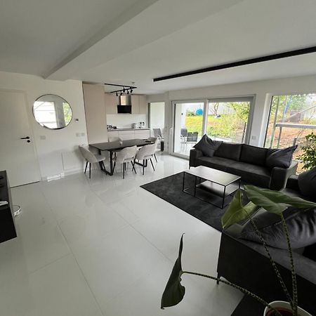 2 Moderne Wohnung Nahe Museum Sinsheim Eksteriør billede
